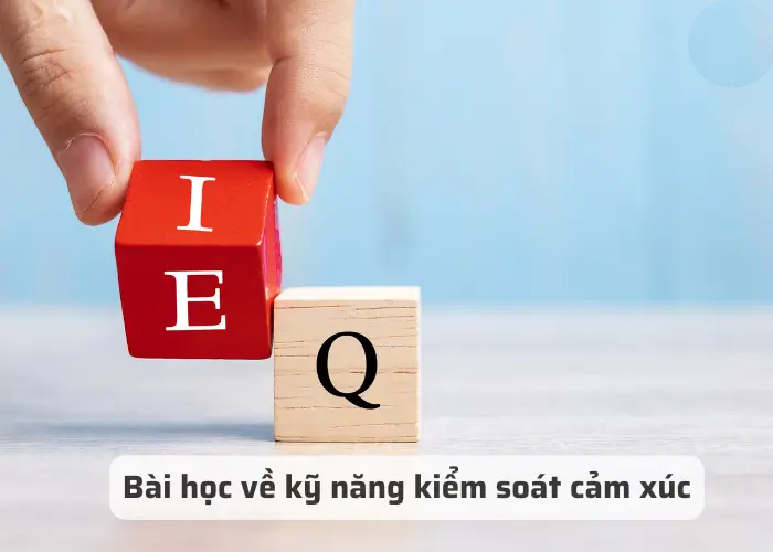 Hướng dẫn kỹ năng kiểm soát cảm xúc hiệu quả hình 4 huong-dan-ky-nang-kiem-soat-cam-xuc-hieu-qua-hinh-4.jpg