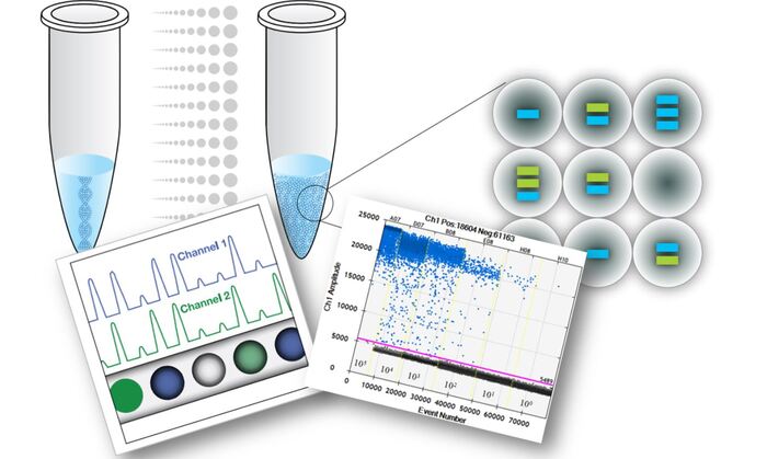 Kỹ thuật PCR: Chìa khóa mở lối vào kỷ nguyên y học mới hình 2 ky-thuat-pcr-chia-khoa-mo-loi-vao-ky-nguyen-y-hoc-moi-hinh-2.jpg