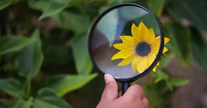 look for là gì 3 look-for-la-gi-3