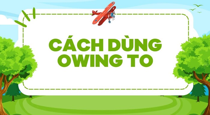 Owing to là gì? Cách sử dụng trong ngữ pháp tiếng Anh hình 2 owing-to-la-gi-cach-su-dung-trong-ngu-phap-tieng-anh-hinh-2.jpg