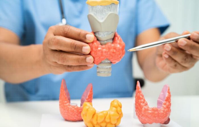 TIRADS là gì? Cách đọc và ý nghĩa trong siêu âm tuyến giáp hình 2 tirads-la-gi-cach-doc-va-y-nghia-trong-sieu-am-tuyen-giap-hinh-2.jpg