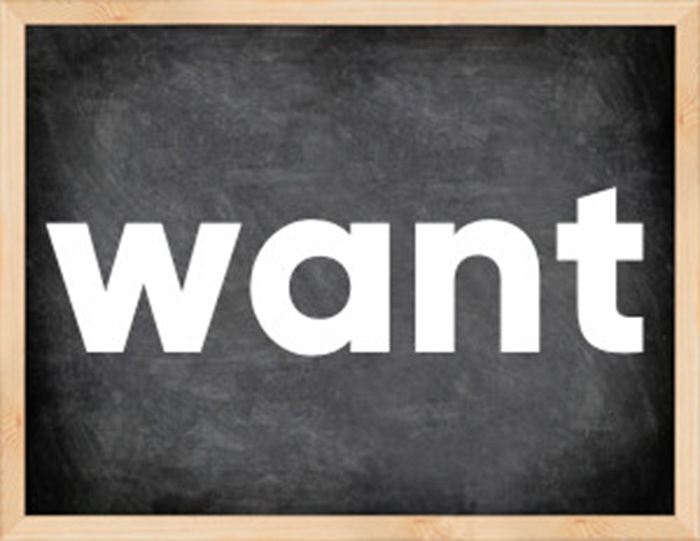 Want to V hay V-ing? Cách dùng chuẩn ngữ pháp và ví dụ chi tiết số 1 want-to-v-hay-ving-cach-dung-chuan-ngu-phap-va-vi-du-chi-tiet-so 1