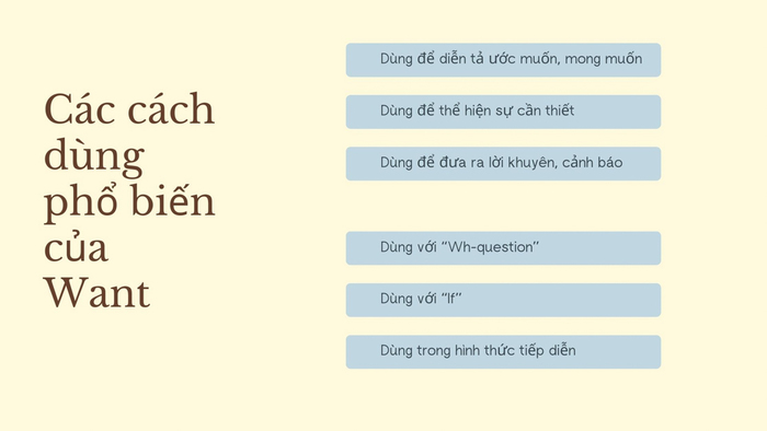 Want to V hay V-ing? Cách dùng chuẩn ngữ pháp và ví dụ chi tiết số 3 want-to-v-hay-ving-cach-dung-chuan-ngu-phap-va-vi-du-chi-tiet-so 3