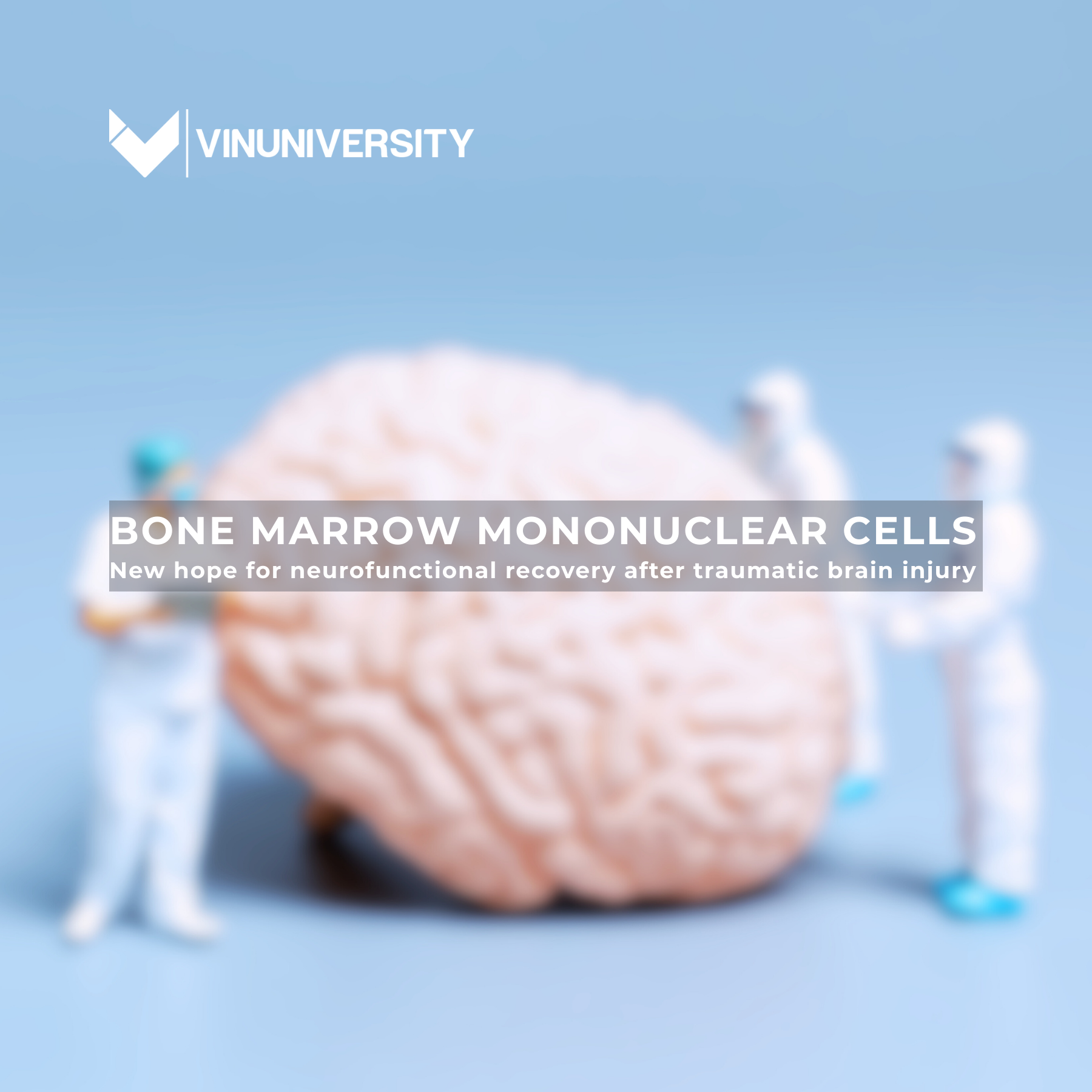 Bone Marrow Mononuclear Cells: New Hope For Neurofunctional Recovery After Traumatic Brain Injury