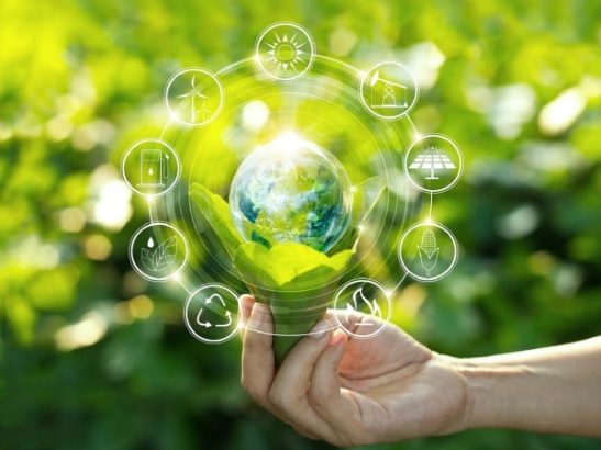 Áp dụng kinh tế tuần hoàn giúp giảm thiểu và tiết kiệm tài nguyên, chi phí đầu vào