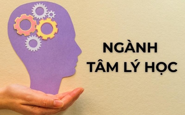 Ngành Tâm lý học: khoa học nghiên cứu về tâm trí và hành vi con người.