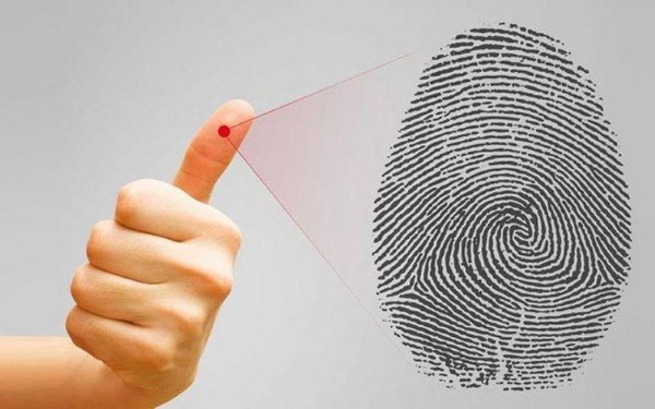 Sinh trắc vân tay hỗ trợ nhận diện thế mạnh nghề nghiệp