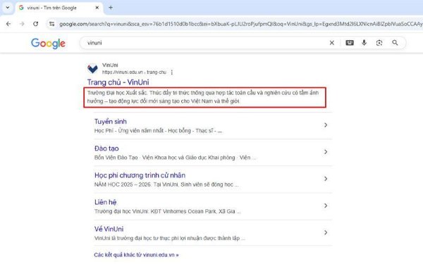 Ví dụ hiển thị thẻ Meta Description của website VinUni trên Google - đoạn mô tả ngắn bên dưới tiêu đề giúp người dùng hiểu nội dung trang trước khi nhấp vào.