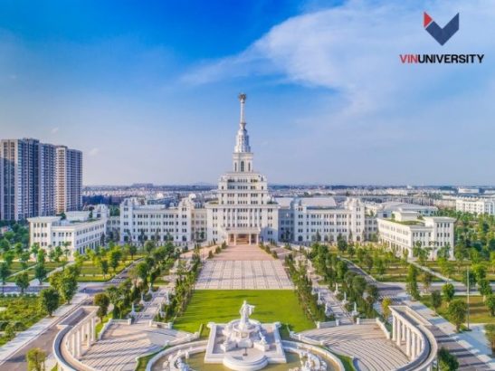 Viện Kinh doanh và Quản trị tại VinUni giúp sinh viên rèn luyện kỹ năng và cung cấp kiến thức chuyên sâu về Digital Marketing 