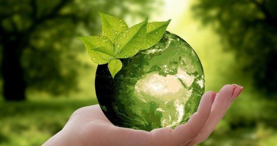 How Can We Solve Sustainability Issues in the World?