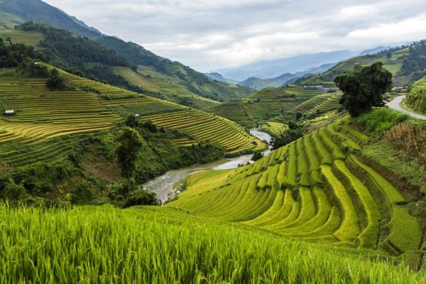 Terraced fields demonstrate sustainable farming methods that prevent soil erosion and protect natural ecosystems.
