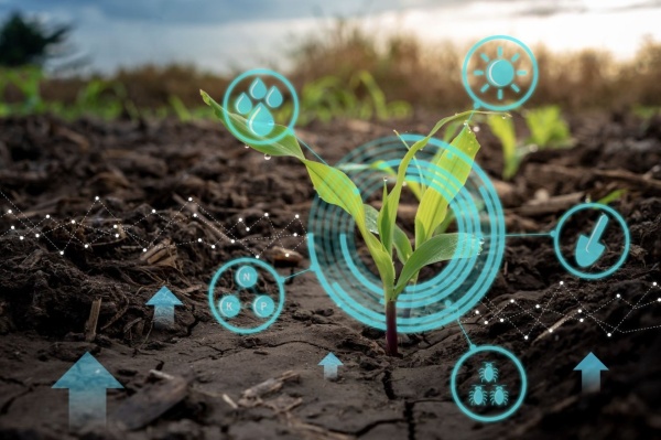 Smart farming for sustainable development.