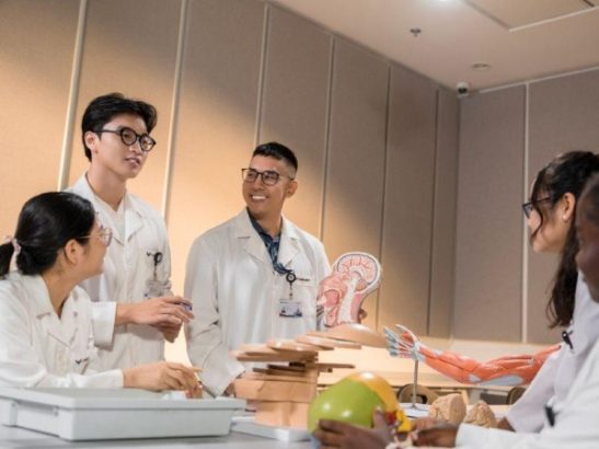 Các kỹ năng quan trọng được trang bị