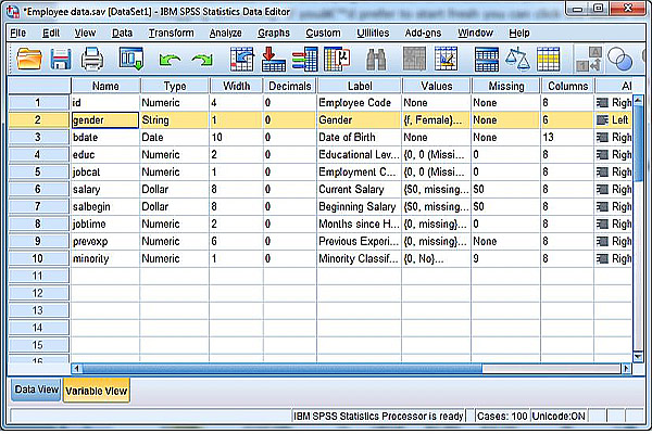 Làm quen giao diện SPSS với Data View và Variable View