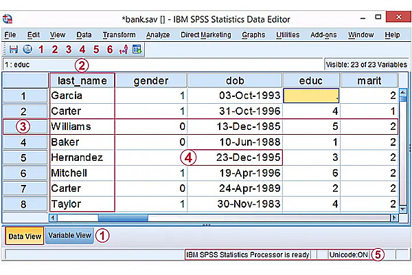 Nhập dữ liệu vào SPSS từ cửa sổ Data View