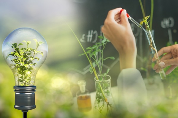 Công nghệ kỹ thuật môi trường ra làm gì? Khám phá cơ hội nghề nghiệp hot